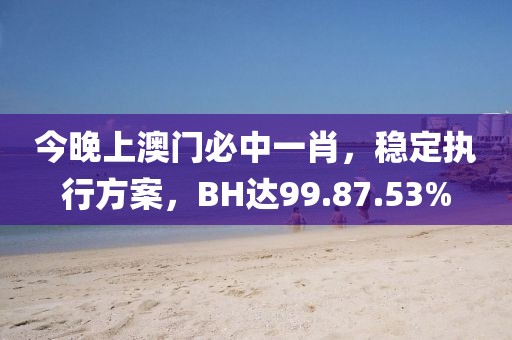 今晚上澳門必中一肖，穩(wěn)定執(zhí)行方案，BH達(dá)99.87.53%