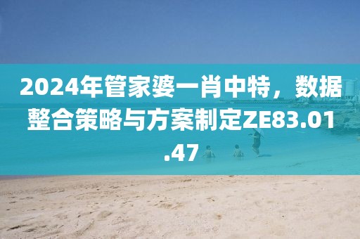 2024年管家婆一肖中特，數(shù)據(jù)整合策略與方案制定ZE83.01.47