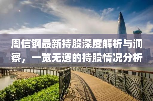 周信鋼最新持股深度解析與洞察，一覽無(wú)遺的持股情況分析