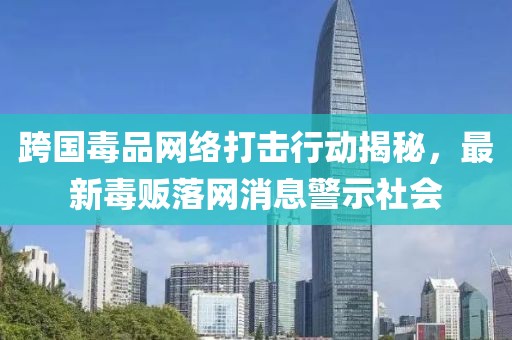 跨國毒品網(wǎng)絡(luò)打擊行動(dòng)揭秘，最新毒販落網(wǎng)消息警示社會(huì)