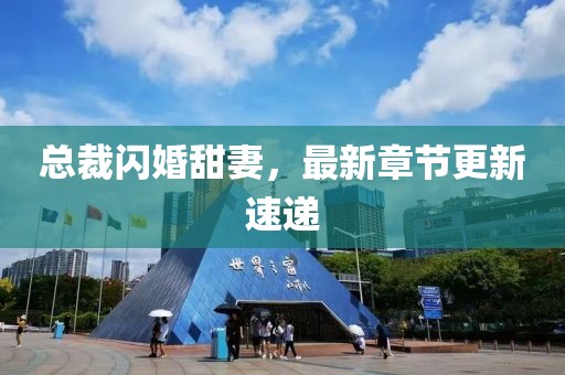 總裁閃婚甜妻，最新章節(jié)更新速遞