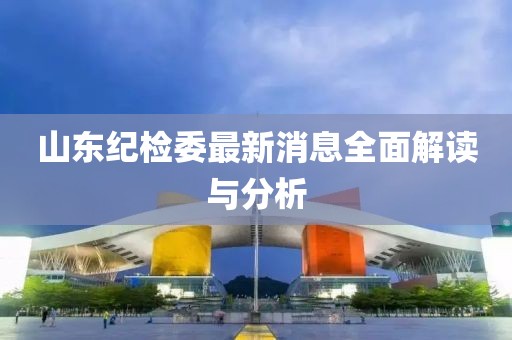 山東紀(jì)檢委最新消息全面解讀與分析