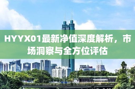 HYYX01最新凈值深度解析，市場(chǎng)洞察與全方位評(píng)估