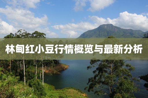 林甸紅小豆行情概覽與最新分析