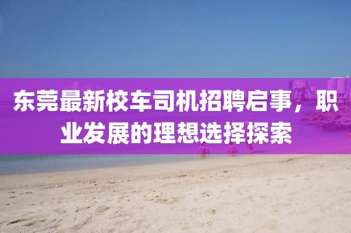 東莞最新校車司機(jī)招聘啟事，職業(yè)發(fā)展的理想選擇探索