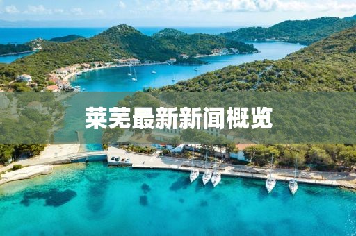 萊蕪最新新聞概覽