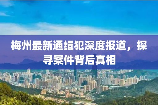 梅州最新通緝犯深度報(bào)道，探尋案件背后真相