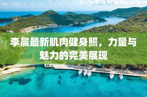 李晨最新肌肉健身照，力量與魅力的完美展現(xiàn)