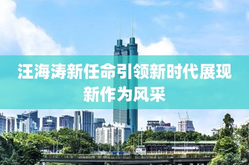 汪海濤新任命引領(lǐng)新時(shí)代展現(xiàn)新作為風(fēng)采