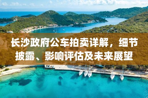 2025年1月 第4頁