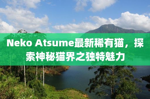 Neko Atsume最新稀有貓，探索神秘貓界之獨特魅力