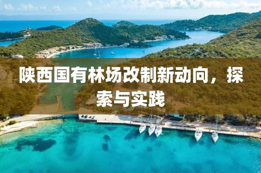 陜西國(guó)有林場(chǎng)改制新動(dòng)向，探索與實(shí)踐