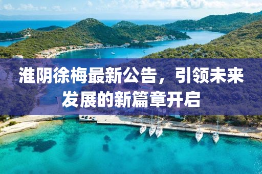 淮陰徐梅最新公告，引領未來發(fā)展的新篇章開啟