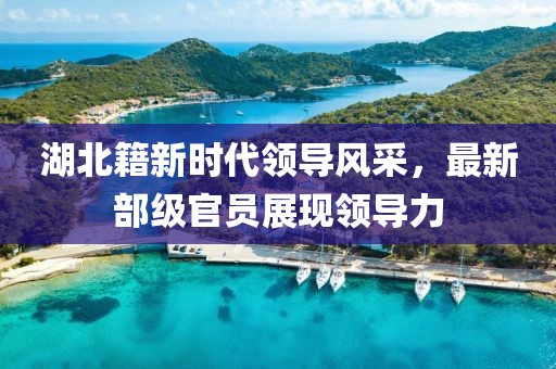 湖北籍新時代領(lǐng)導風采，最新部級官員展現(xiàn)領(lǐng)導力