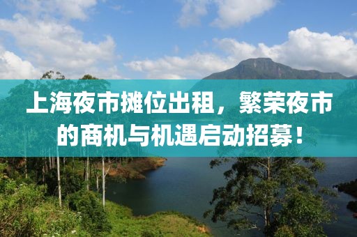 上海夜市攤位出租，繁榮夜市的商機與機遇啟動招募！