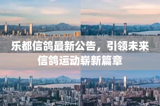 樂都信鴿最新公告，引領(lǐng)未來信鴿運(yùn)動(dòng)嶄新篇章