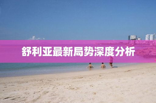 舒利亞最新局勢深度分析