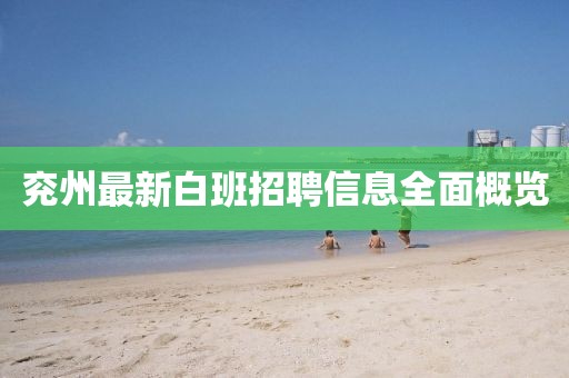 兗州最新白班招聘信息全面概覽