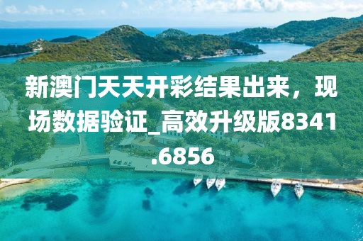 新澳門天天開彩結(jié)果出來，現(xiàn)場數(shù)據(jù)驗證_高效升級版8341.6856