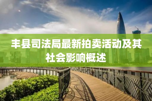 豐縣司法局最新拍賣活動(dòng)及其社會(huì)影響概述