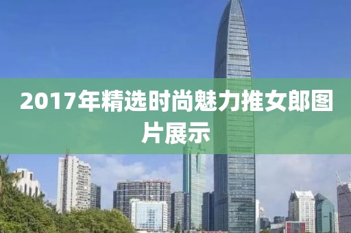 2017年精選時(shí)尚魅力推女郎圖片展示