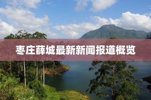 棗莊薛城最新新聞報道概覽