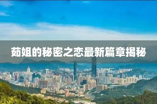 茹姐的秘密之戀最新篇章揭秘