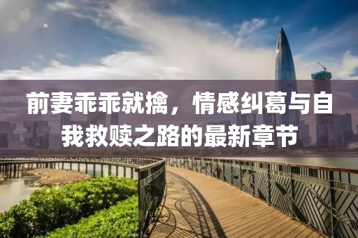 前妻乖乖就擒，情感糾葛與自我救贖之路的最新章節(jié)