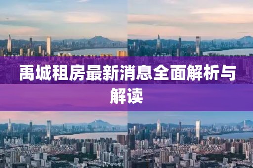 禹城租房最新消息全面解析與解讀