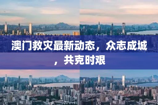 澳門救災最新動態(tài)，眾志成城，共克時艱