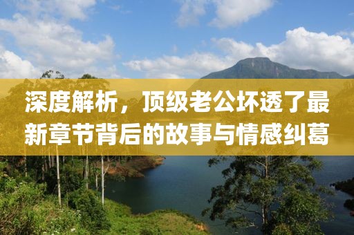 深度解析，頂級老公壞透了最新章節(jié)背后的故事與情感糾葛