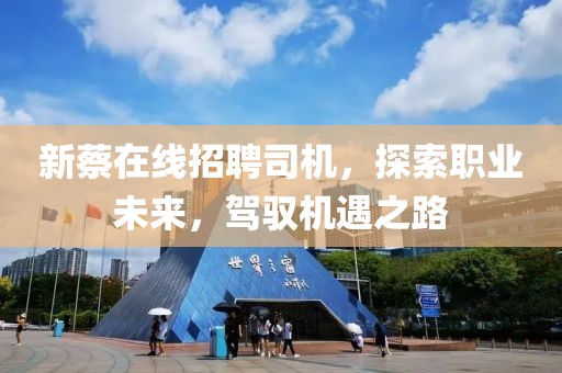 新蔡在線招聘司機(jī)，探索職業(yè)未來，駕馭機(jī)遇之路