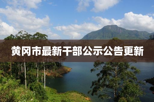 黃岡市最新干部公示公告更新