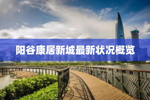 陽谷康居新城最新狀況概覽