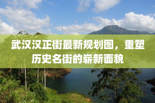 武漢漢正街最新規(guī)劃圖，重塑歷史名街的嶄新面貌