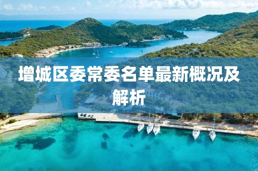 增城區(qū)委常委名單最新概況及解析