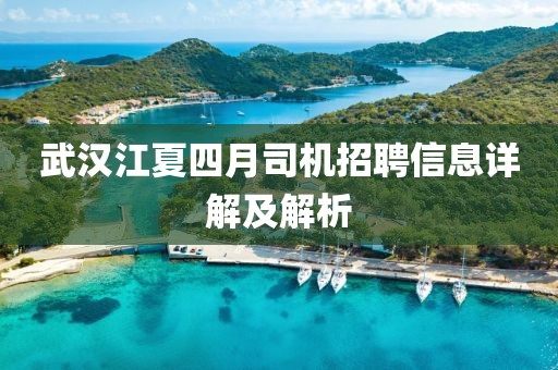 武漢江夏四月司機(jī)招聘信息詳解及解析