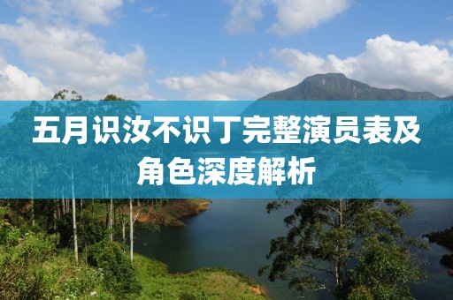五月識汝不識丁完整演員表及角色深度解析