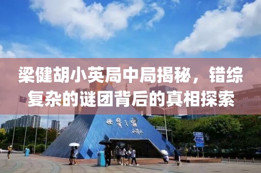 梁健胡小英局中局揭秘，錯綜復(fù)雜的謎團背后的真相探索