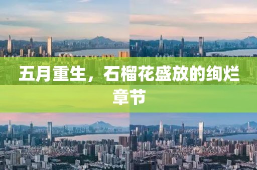 五月重生，石榴花盛放的絢爛章節(jié)