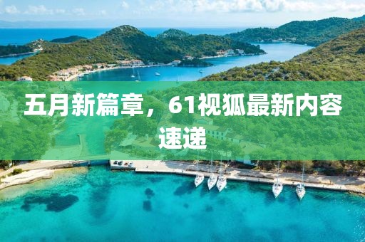 五月新篇章，61視狐最新內(nèi)容速遞