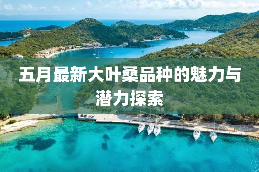 五月最新大葉桑品種的魅力與潛力探索