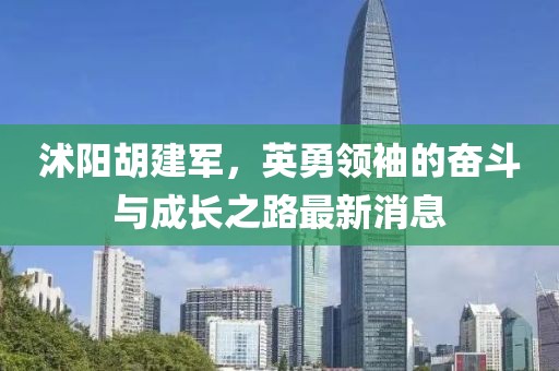 沭陽胡建軍，英勇領(lǐng)袖的奮斗與成長之路最新消息
