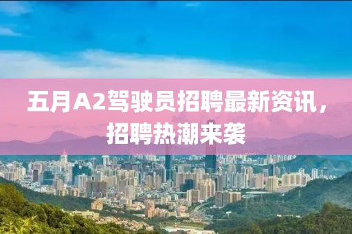 五月A2駕駛員招聘最新資訊，招聘熱潮來襲