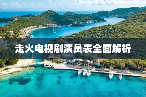 走火電視劇演員表全面解析