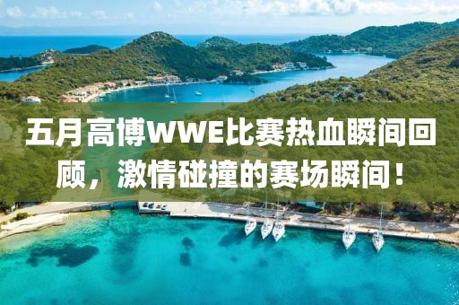 五月高博WWE比賽熱血瞬間回顧，激情碰撞的賽場瞬間！