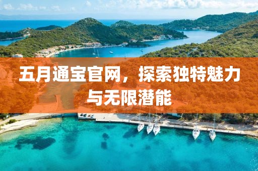 五月通寶官網，探索獨特魅力與無限潛能