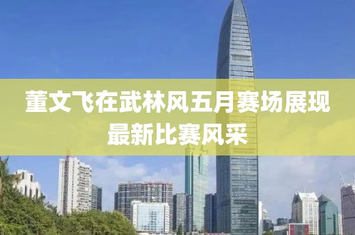董文飛在武林風(fēng)五月賽場(chǎng)展現(xiàn)最新比賽風(fēng)采