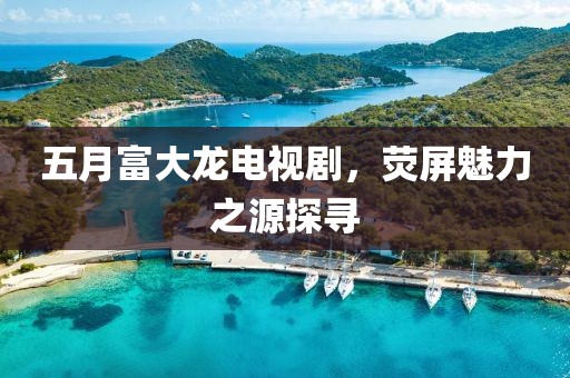 五月富大龍電視劇，熒屏魅力之源探尋