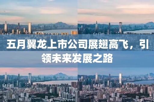 五月翼龍上市公司展翅高飛，引領(lǐng)未來發(fā)展之路